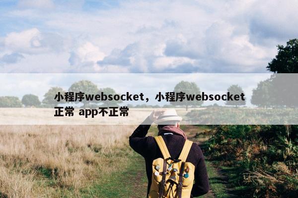 小程序websocket，小程序websocket正常 app不正常
