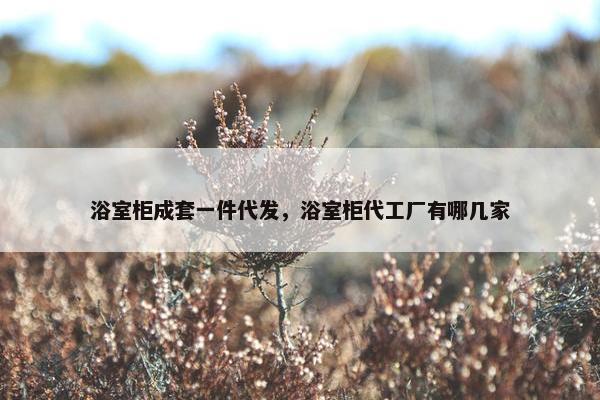 浴室柜成套一件代发，浴室柜代工厂有哪几家