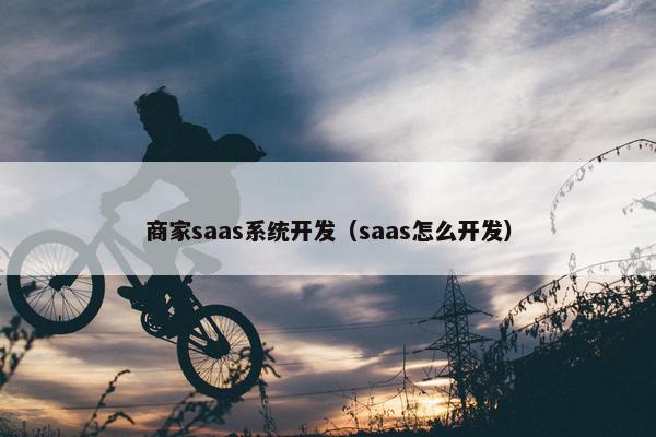 商家saas系统开发（saas怎么开发）
