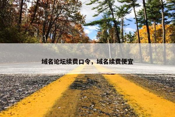域名论坛续费口令，域名续费便宜