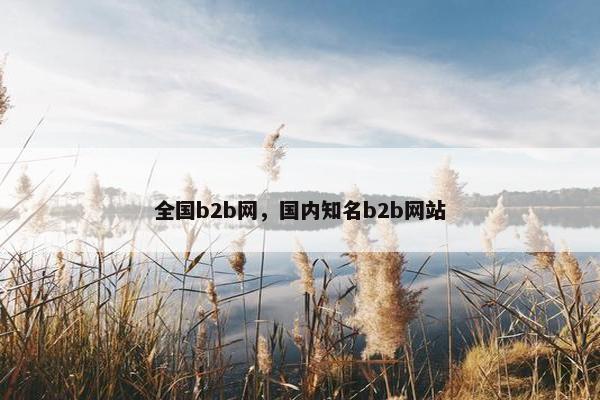 全国b2b网，国内知名b2b网站