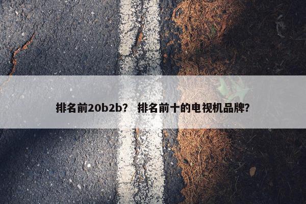 排名前20b2b？ 排名前十的电视机品牌？