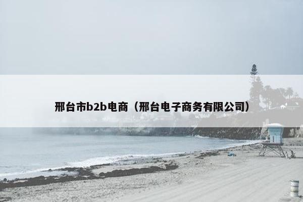 邢台市b2b电商（邢台电子商务有限公司）
