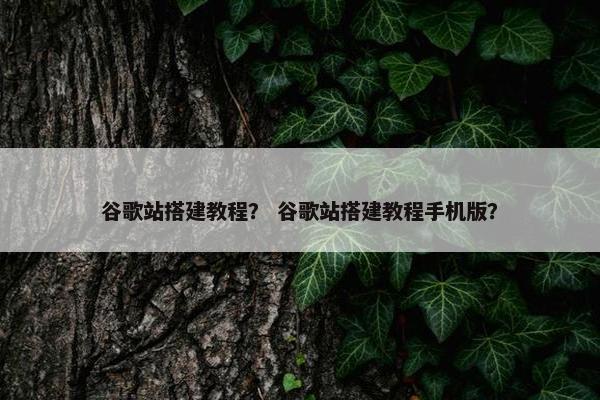 谷歌站搭建教程？ 谷歌站搭建教程手机版？