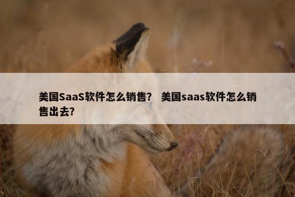 美国SaaS软件怎么销售？ 美国saas软件怎么销售出去？