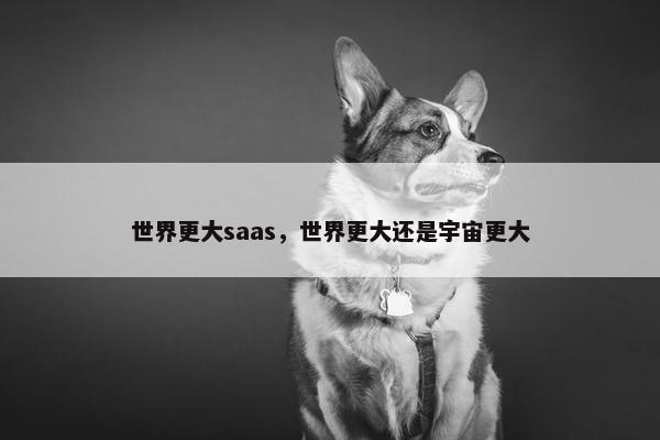 世界更大saas，世界更大还是宇宙更大