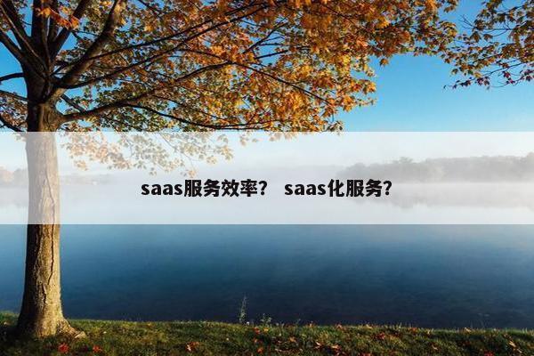 saas服务效率？ saas化服务？
