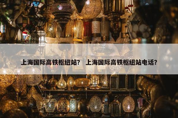 上海国际高铁枢纽站？ 上海国际高铁枢纽站电话？