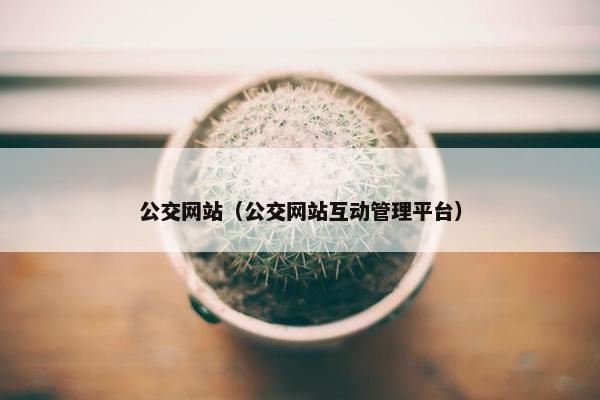公交网站（公交网站互动管理平台）