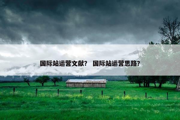 国际站运营文献？ 国际站运营思路？