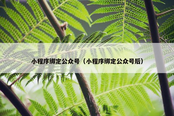 小程序绑定公众号（小程序绑定公众号后）