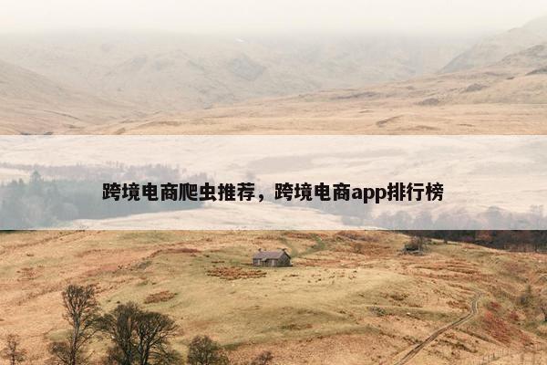 跨境电商爬虫推荐，跨境电商app排行榜