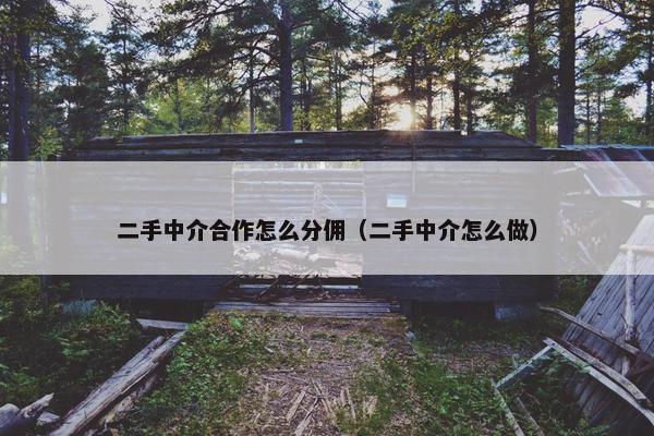 二手中介合作怎么分佣（二手中介怎么做）
