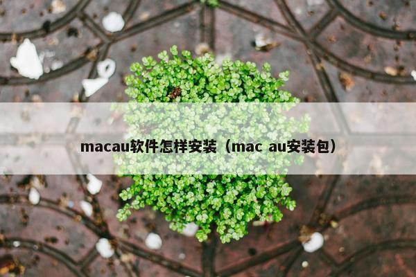 macau软件怎样安装（mac au安装包）