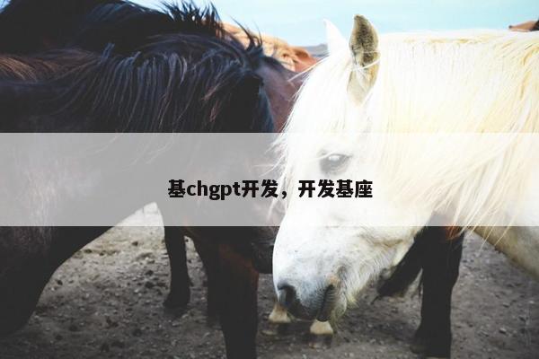 基chgpt开发，开发基座