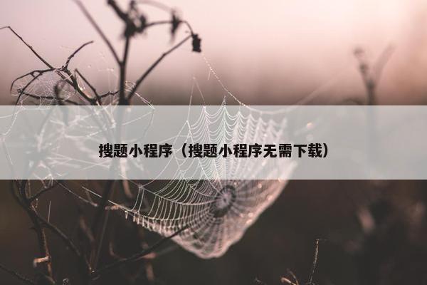 搜题小程序（搜题小程序无需下载）