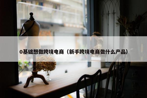 0基础想做跨境电商（新手跨境电商做什么产品）