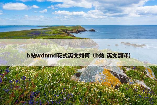 b站wdnmd花式英文如何（b站 英文翻译）