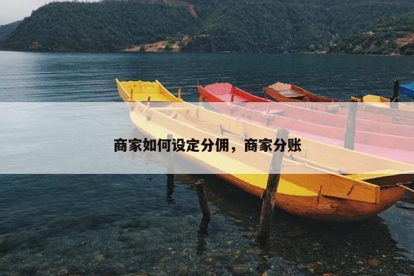 商家如何设定分佣，商家分账