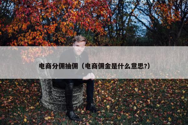 电商分佣抽佣（电商佣金是什么意思?）