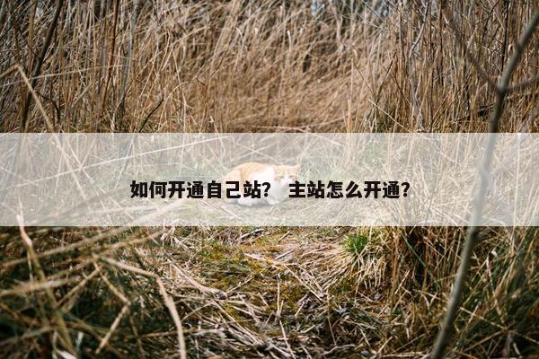 如何开通自己站？ 主站怎么开通？