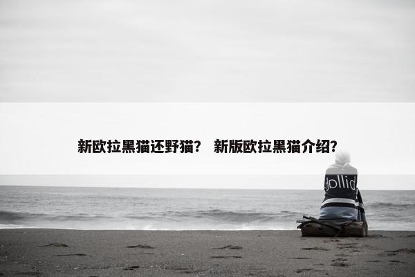 新欧拉黑猫还野猫？ 新版欧拉黑猫介绍？