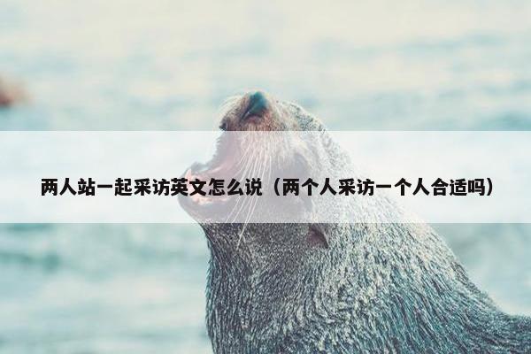 两人站一起采访英文怎么说（两个人采访一个人合适吗）
