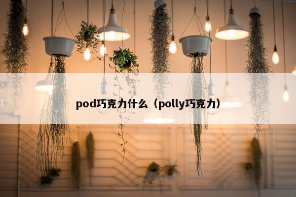 pod巧克力什么（polly巧克力）