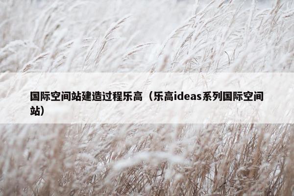 国际空间站建造过程乐高（乐高ideas系列国际空间站）