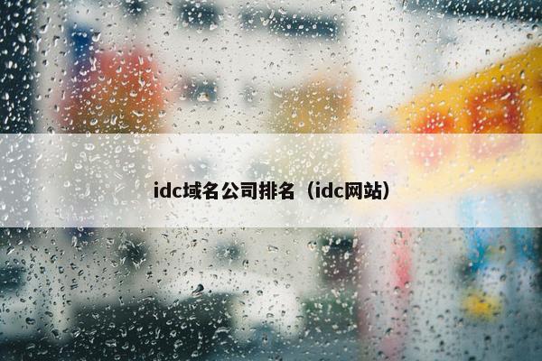 idc域名公司排名（idc网站）