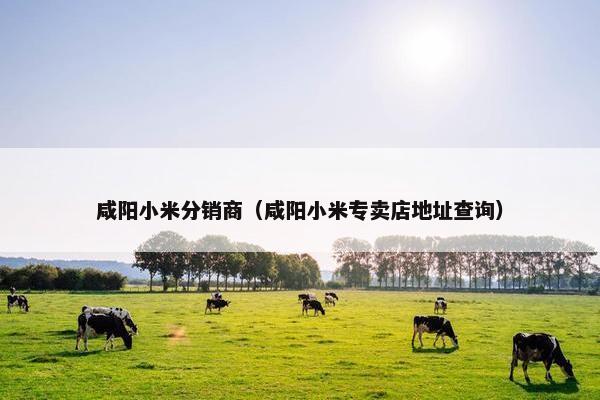 咸阳小米分销商（咸阳小米专卖店地址查询）