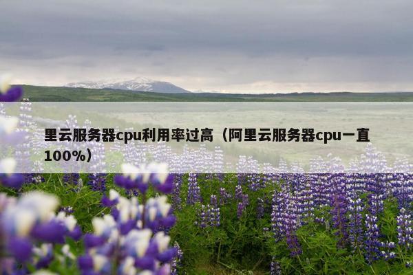 里云服务器cpu利用率过高（阿里云服务器cpu一直100%）