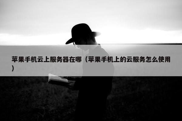 苹果手机云上服务器在哪（苹果手机上的云服务怎么使用）