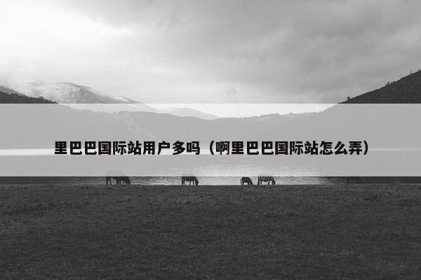 里巴巴国际站用户多吗（啊里巴巴国际站怎么弄）