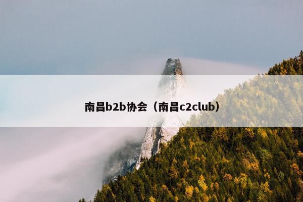 南昌b2b协会（南昌c2club）