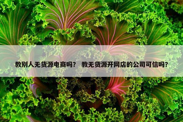 教别人无货源电商吗？ 教无货源开网店的公司可信吗？
