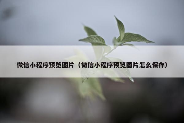 微信小程序预览图片（微信小程序预览图片怎么保存）