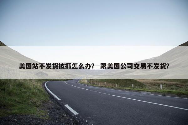 美国站不发货被抓怎么办？ 跟美国公司交易不发货？