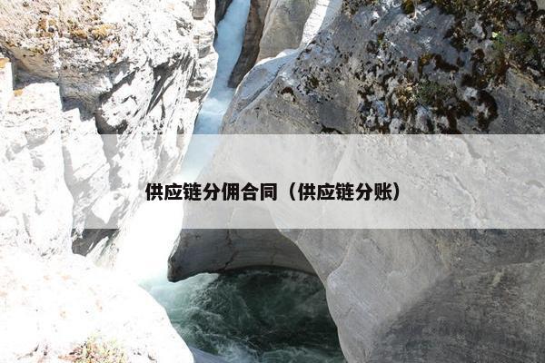 供应链分佣合同（供应链分账）