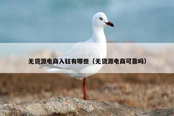 无货源电商入驻有哪些（无货源电商可靠吗）