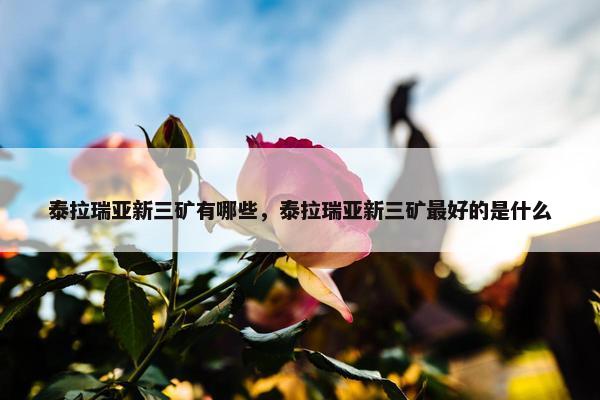 泰拉瑞亚新三矿有哪些，泰拉瑞亚新三矿最好的是什么