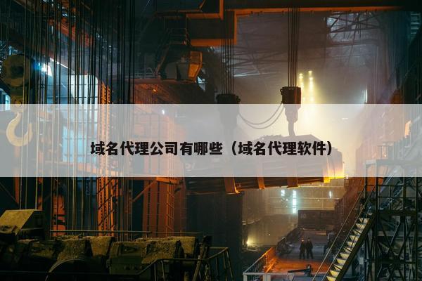 域名代理公司有哪些（域名代理软件）