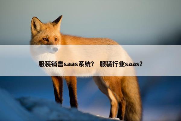 服装销售saas系统？ 服装行业saas？