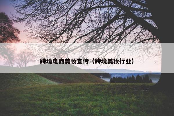 跨境电商美妆宣传（跨境美妆行业）