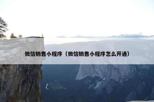 微信销售小程序（微信销售小程序怎么开通）