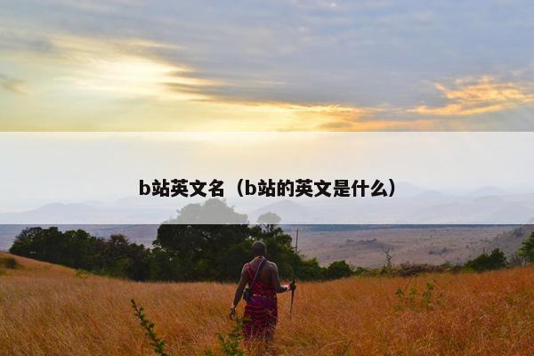 b站英文名（b站的英文是什么）