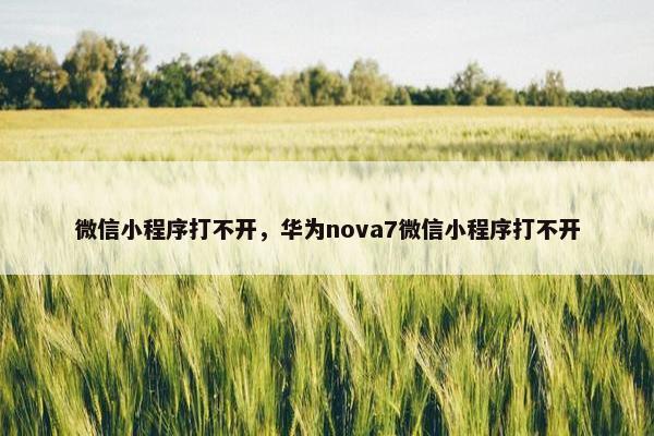 微信小程序打不开，华为nova7微信小程序打不开