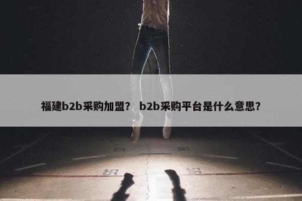 福建b2b采购加盟？ b2b采购平台是什么意思？