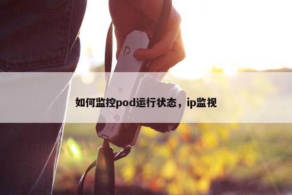 如何监控pod运行状态，ip监视