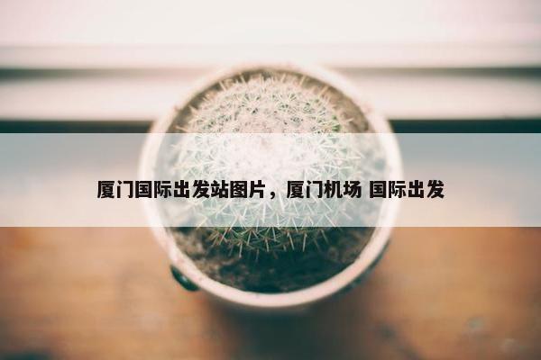 厦门国际出发站图片，厦门机场 国际出发